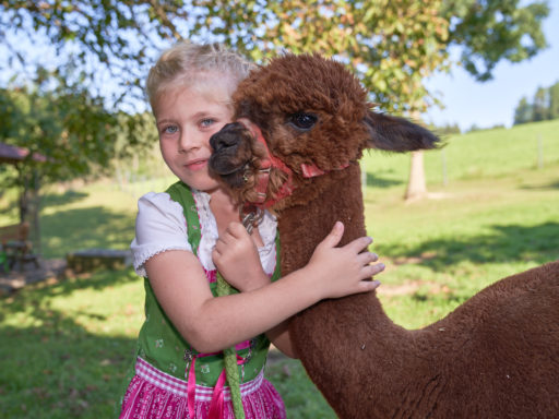 Alpaka Farm Anzengruber - Kindergeburtstag - Alpakawanderung - Alpaka Fotshooting Geschenkidee Ausflugstipp Ausflugsziel Freizeit Natur Bauernhof Alpakawanderung Erlebnis schenken Schlüßlberg nähe Bad Schallerbach-Grieskirchen