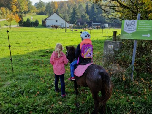 Reitpädagogik - Kindergeburtstage - Tiere - Erlebnis - Ausflug-Freizeit-alpaka-anzengruber.at