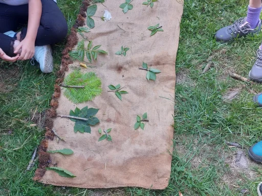 Erlebnis mit Naturmaterialien - Tiere - Pädagogik