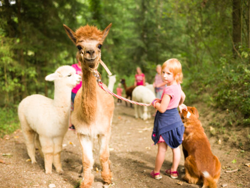 Kindergeburtstag - Schule am Bauernhof - Ferienprogramm - Schlüßlberg - Grieskirchen