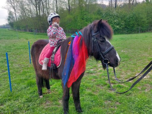 Reitpädagogik in Schlüßlberg, Freizeitangebot, Ponyreiten, alpaka-anzengruber.at, Schlüßlberg