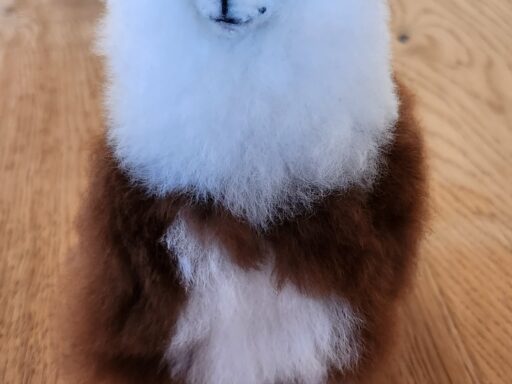Flauschige Alpakas mit echtem Fell zum kuscheln. Alpaka Hofladen in Schlüßlberg oder im Online Shop erhältlich. Geburtstagsgeschenk Idee