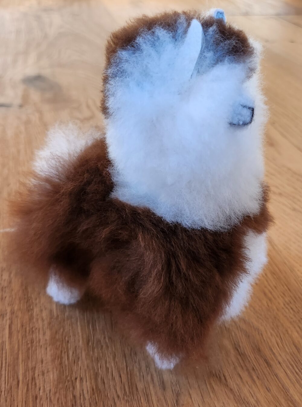 Flauschige Alpakas mit echtem Fell zum kuscheln. Alpaka Hofladen in Schlüßlberg oder im Online Shop erhältlich. Geburtstagsgeschenk Idee