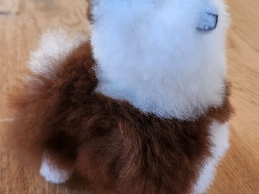 Flauschige Alpakas mit echtem Fell zum kuscheln. Alpaka Hofladen in Schlüßlberg oder im Online Shop erhältlich. Geburtstagsgeschenk Idee