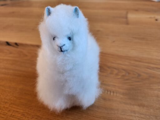 Flauschige Alpakas mit echtem Fell zum kuscheln. Alpaka Hofladen in Schlüßlberg oder im Online Shop erhältlich. Geburtstagsgeschenk Idee