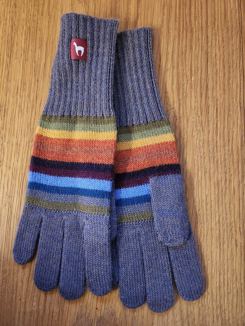 Arco Iris Fingerhandschuhe